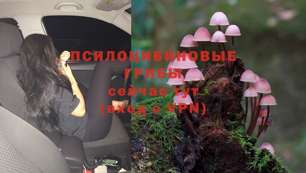 каннабис Абаза